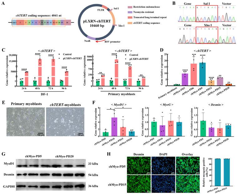 https://cdn.ncbi.nlm.nih.gov/pmc/blobs/50bc/11312951/c8975fd75cae/ijms-25-08340-g002.jpg