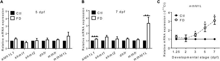 https://cdn.ncbi.nlm.nih.gov/pmc/blobs/50bc/8277299/f2da249e0b26/fcell-09-702969-g005.jpg