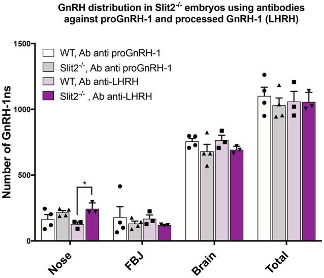 https://cdn.ncbi.nlm.nih.gov/pmc/blobs/50be/6406018/b185d9a272b8/fncel-13-00070-g0006.jpg