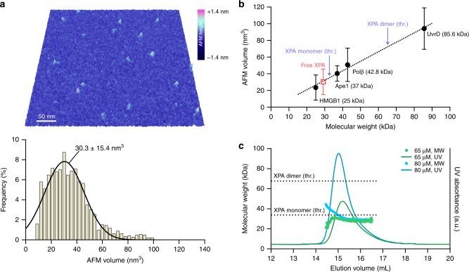 https://cdn.ncbi.nlm.nih.gov/pmc/blobs/50be/7069974/5a3517b685a0/41467_2020_15168_Fig2_HTML.jpg