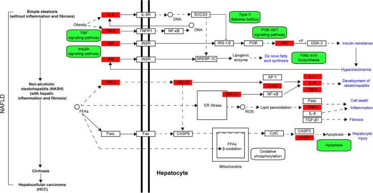 https://cdn.ncbi.nlm.nih.gov/pmc/blobs/50be/9476713/d1db6c28216c/gr6.jpg
