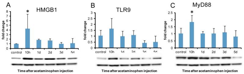 https://cdn.ncbi.nlm.nih.gov/pmc/blobs/50bf/7730394/544dfa75c6d9/ijms-21-08998-g011.jpg