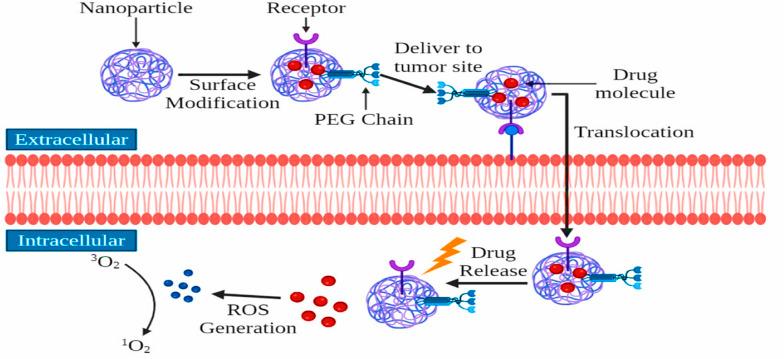 https://cdn.ncbi.nlm.nih.gov/pmc/blobs/50c0/12076205/36d38350090c/d5ra00948k-f5.jpg