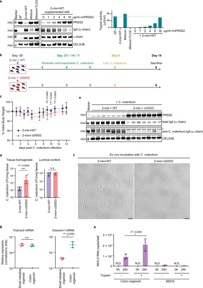 https://cdn.ncbi.nlm.nih.gov/pmc/blobs/50c0/9477747/056ef1123cff/41586_2022_5181_Fig14_ESM.jpg