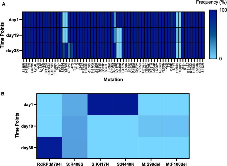 https://cdn.ncbi.nlm.nih.gov/pmc/blobs/50c2/11373299/a7452e57db9e/12985_2024_2483_Fig2_HTML.jpg