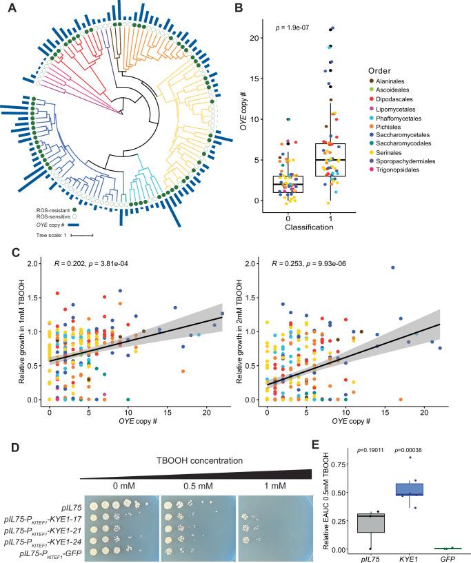 https://cdn.ncbi.nlm.nih.gov/pmc/blobs/50c2/12215403/4fabf4c5e307/41467_2025_60189_Fig5_HTML.jpg