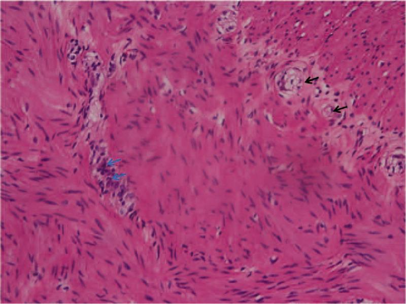 https://cdn.ncbi.nlm.nih.gov/pmc/blobs/50c2/7220416/994aa9c3ac96/medi-99-e20209-g004.jpg