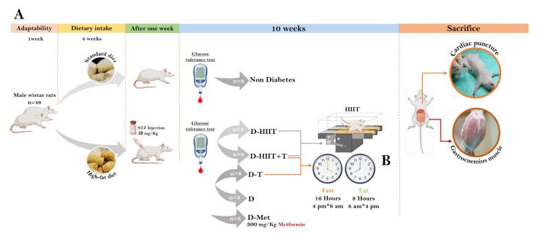 https://cdn.ncbi.nlm.nih.gov/pmc/blobs/50c3/12073226/e3f0e3d78a0c/nutrients-17-01404-g001.jpg