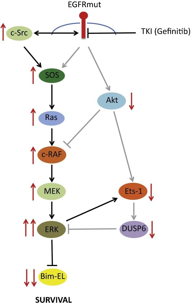 https://cdn.ncbi.nlm.nih.gov/pmc/blobs/50c4/5056954/5e85f3525163/gr3.jpg