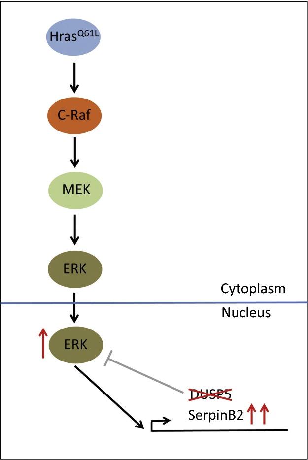 https://cdn.ncbi.nlm.nih.gov/pmc/blobs/50c4/5056954/d3d0d1c7902f/gr2.jpg