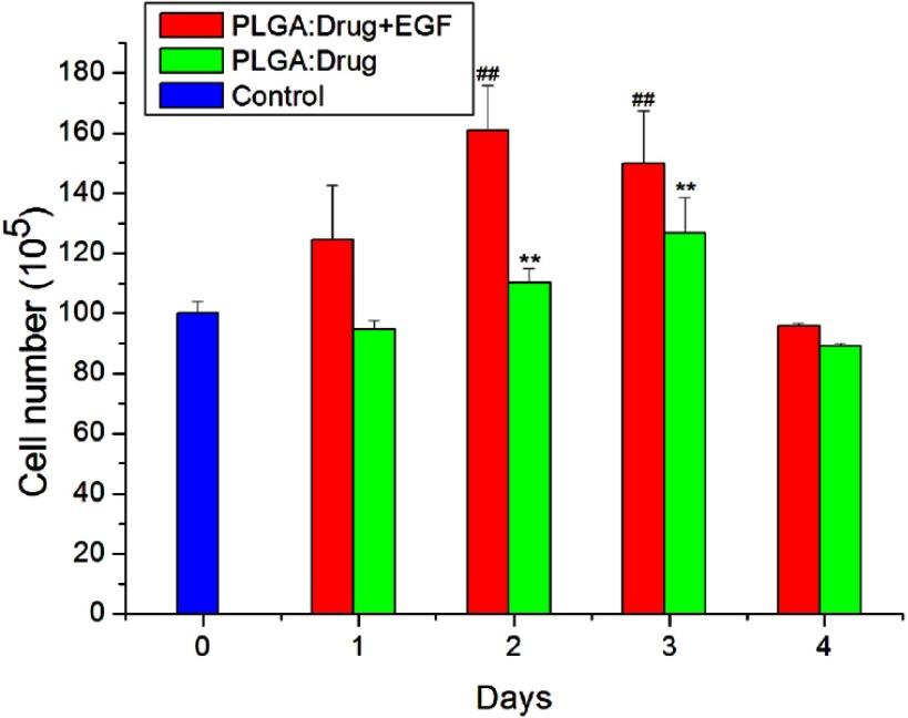 https://cdn.ncbi.nlm.nih.gov/pmc/blobs/50c4/6549740/dfc7185a4701/IJN-14-4007-g0011.jpg