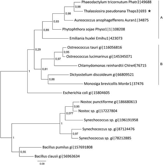 https://cdn.ncbi.nlm.nih.gov/pmc/blobs/50c6/4523565/76b98bb1f0f5/40064_2015_1163_Fig4_HTML.jpg