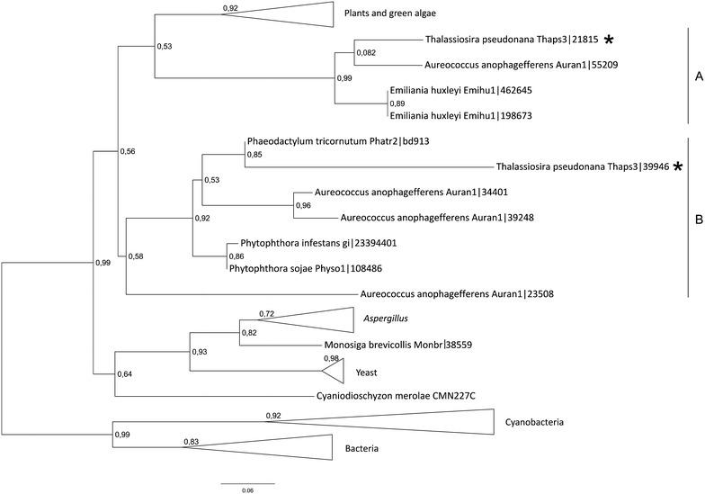 https://cdn.ncbi.nlm.nih.gov/pmc/blobs/50c6/4523565/e0f4181c5c9f/40064_2015_1163_Fig5_HTML.jpg