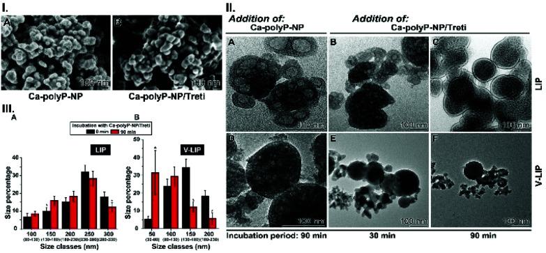 https://cdn.ncbi.nlm.nih.gov/pmc/blobs/50c7/8439182/dc1425052093/d1bm00502b-f8.jpg