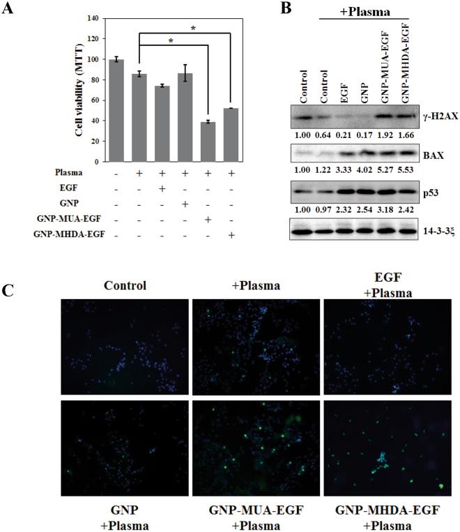 https://cdn.ncbi.nlm.nih.gov/pmc/blobs/50c8/5591291/45d781e78dab/41598_2017_11292_Fig4_HTML.jpg