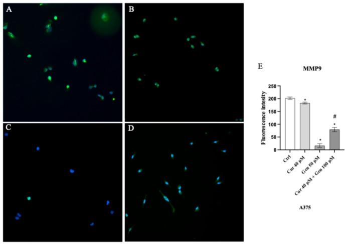 https://cdn.ncbi.nlm.nih.gov/pmc/blobs/50cd/12383553/06d55d6330ab/biomedicines-13-01954-g015.jpg