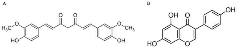 https://cdn.ncbi.nlm.nih.gov/pmc/blobs/50cd/12383553/3362fe8cb12c/biomedicines-13-01954-g001.jpg