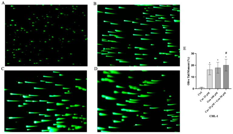 https://cdn.ncbi.nlm.nih.gov/pmc/blobs/50cd/12383553/478d26f26c64/biomedicines-13-01954-g008.jpg