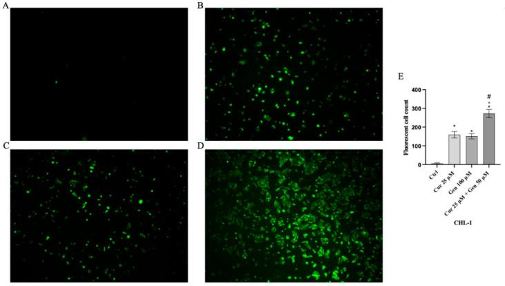 https://cdn.ncbi.nlm.nih.gov/pmc/blobs/50cd/12383553/4e8f3418fae4/biomedicines-13-01954-g010.jpg