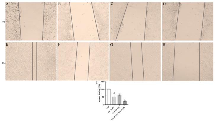 https://cdn.ncbi.nlm.nih.gov/pmc/blobs/50cd/12383553/4ea6ff7d9636/biomedicines-13-01954-g014.jpg
