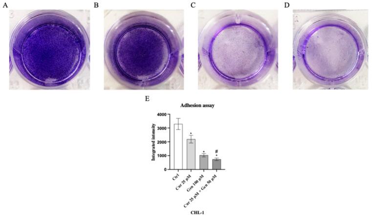 https://cdn.ncbi.nlm.nih.gov/pmc/blobs/50cd/12383553/55c5e8a40ff3/biomedicines-13-01954-g012.jpg