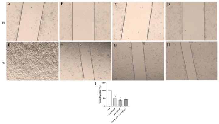 https://cdn.ncbi.nlm.nih.gov/pmc/blobs/50cd/12383553/564fac4fb5cc/biomedicines-13-01954-g013.jpg