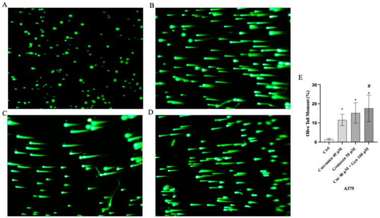 https://cdn.ncbi.nlm.nih.gov/pmc/blobs/50cd/12383553/8601fffeb5ca/biomedicines-13-01954-g007.jpg