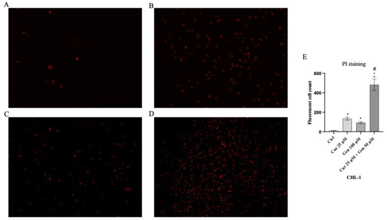 https://cdn.ncbi.nlm.nih.gov/pmc/blobs/50cd/12383553/9411099d8fba/biomedicines-13-01954-g004.jpg