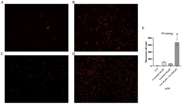 https://cdn.ncbi.nlm.nih.gov/pmc/blobs/50cd/12383553/b868bd60d8e3/biomedicines-13-01954-g003.jpg