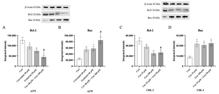 https://cdn.ncbi.nlm.nih.gov/pmc/blobs/50cd/12383553/d8b9ac8bf7ec/biomedicines-13-01954-g006.jpg