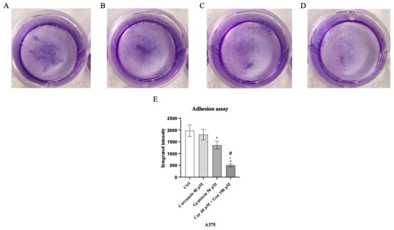 https://cdn.ncbi.nlm.nih.gov/pmc/blobs/50cd/12383553/e747726aa868/biomedicines-13-01954-g011.jpg