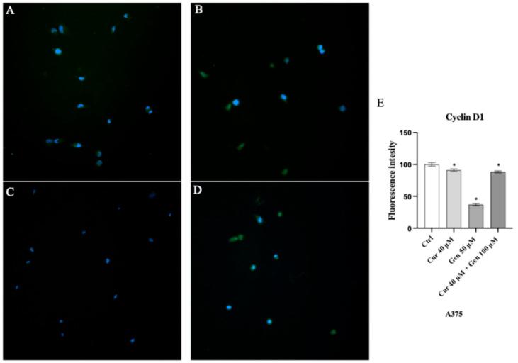 https://cdn.ncbi.nlm.nih.gov/pmc/blobs/50cd/12383553/f8afa82e4921/biomedicines-13-01954-g016.jpg