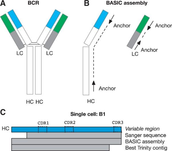 https://cdn.ncbi.nlm.nih.gov/pmc/blobs/50cd/5408917/d5f9710d81bd/btw631f1.jpg