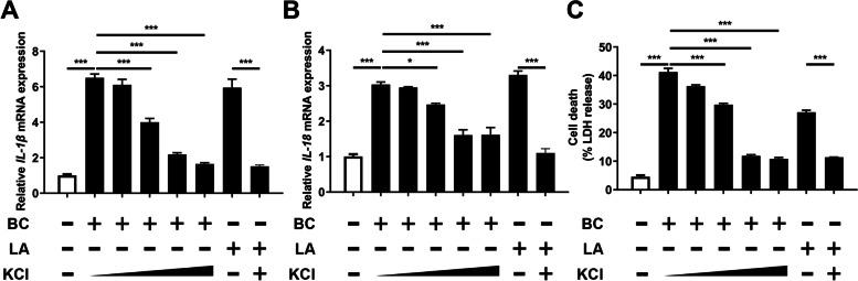 https://cdn.ncbi.nlm.nih.gov/pmc/blobs/50ce/9461272/0ee910fdd5ad/40104_2022_752_Fig4_HTML.jpg