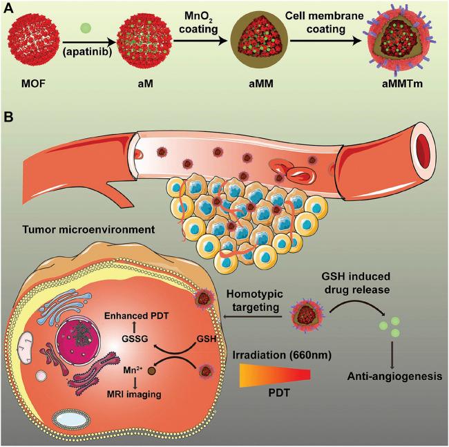 https://cdn.ncbi.nlm.nih.gov/pmc/blobs/50cf/9585261/80470c6d18aa/fbioe-10-1024143-g007.jpg