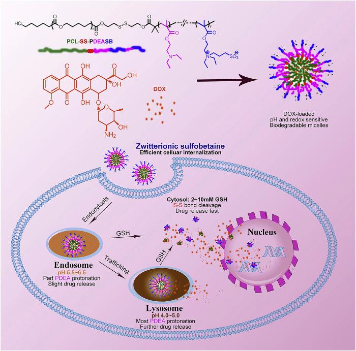 https://cdn.ncbi.nlm.nih.gov/pmc/blobs/50cf/9585261/cfe8fed56f00/fbioe-10-1024143-g002.jpg