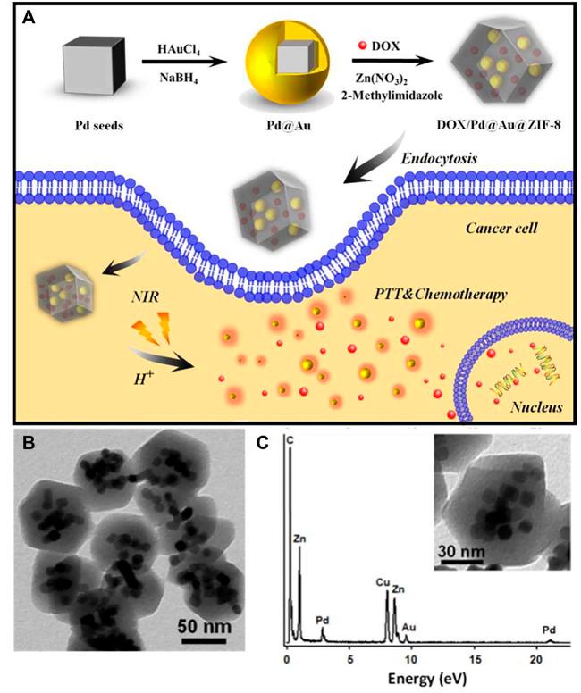 https://cdn.ncbi.nlm.nih.gov/pmc/blobs/50cf/9585261/d60ecb38a0de/fbioe-10-1024143-g008.jpg