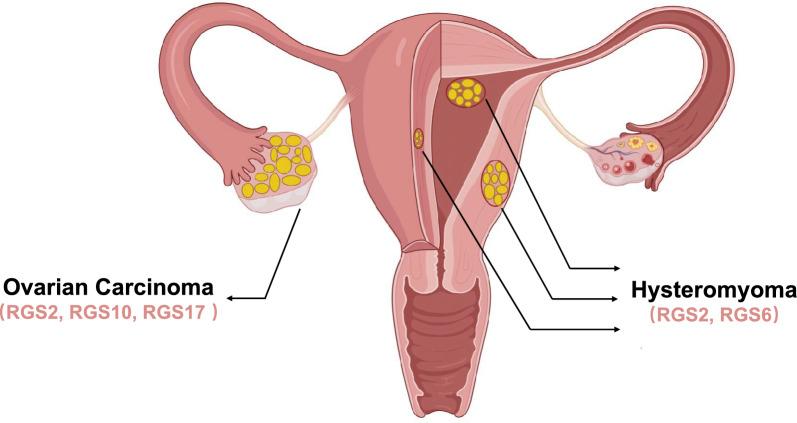 https://cdn.ncbi.nlm.nih.gov/pmc/blobs/50d0/10469436/0160d3edaf2c/12967_2023_4462_Fig2_HTML.jpg
