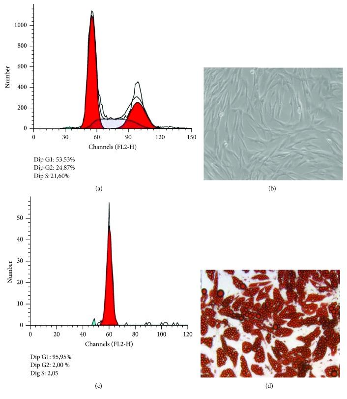 https://cdn.ncbi.nlm.nih.gov/pmc/blobs/50d0/6360562/035bb5afe5d7/MI2019-1515621.001.jpg