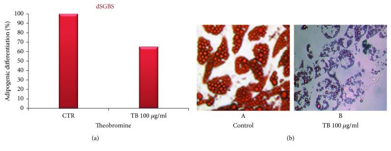 https://cdn.ncbi.nlm.nih.gov/pmc/blobs/50d0/6360562/62b121cc1189/MI2019-1515621.003.jpg
