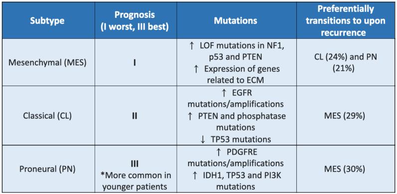 https://cdn.ncbi.nlm.nih.gov/pmc/blobs/50d1/11155041/0655c92e215b/12967_2024_5301_Fig2_HTML.jpg