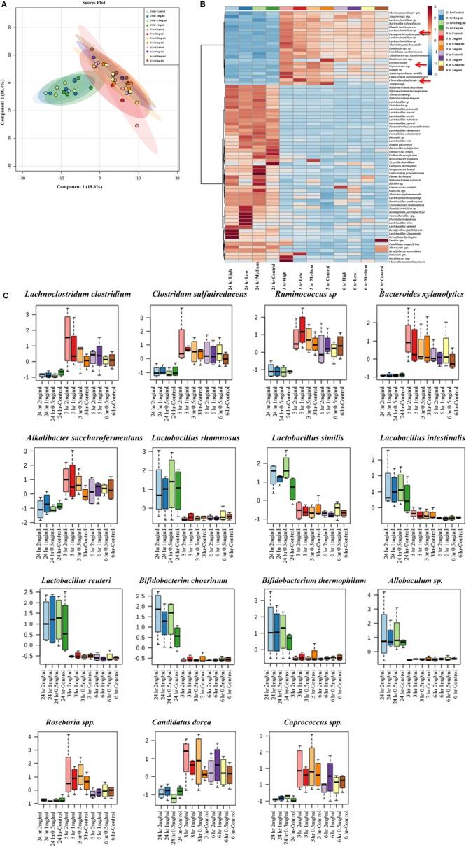 https://cdn.ncbi.nlm.nih.gov/pmc/blobs/50d1/6443721/6e050a72deff/fmicb-10-00474-g007.jpg