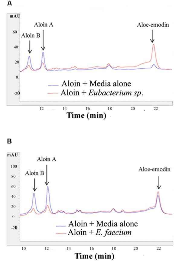 https://cdn.ncbi.nlm.nih.gov/pmc/blobs/50d1/6443721/c00f14f4a934/fmicb-10-00474-g002.jpg