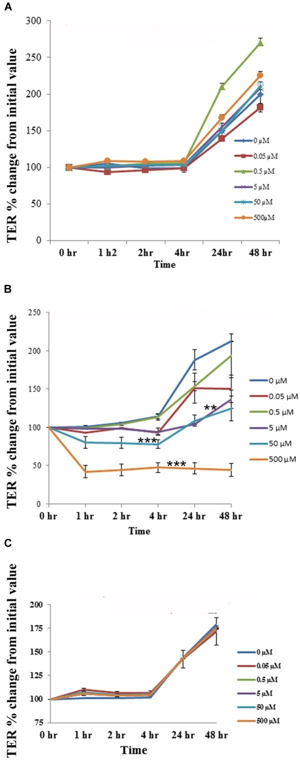 https://cdn.ncbi.nlm.nih.gov/pmc/blobs/50d1/6443721/e4cd303937a2/fmicb-10-00474-g008.jpg