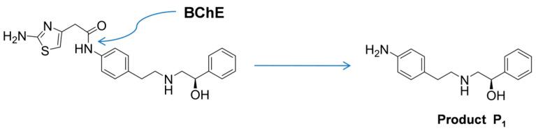 https://cdn.ncbi.nlm.nih.gov/pmc/blobs/50d3/11124411/33e52d86ade2/molecules-29-02356-g005.jpg