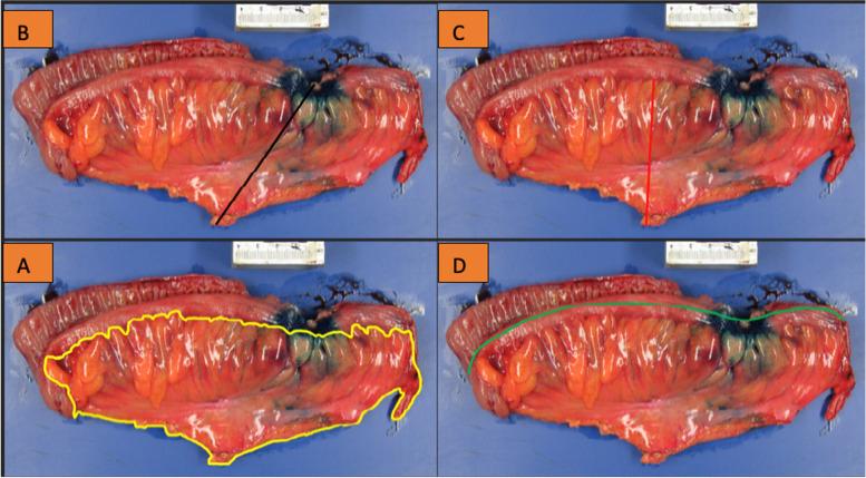 https://cdn.ncbi.nlm.nih.gov/pmc/blobs/50d5/11340191/10b928be9fb8/12957_2024_3496_Fig2_HTML.jpg