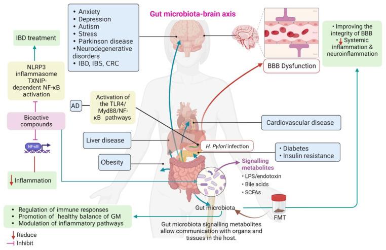 https://cdn.ncbi.nlm.nih.gov/pmc/blobs/50d7/10452544/249709365cd4/brainsci-13-01226-g002.jpg