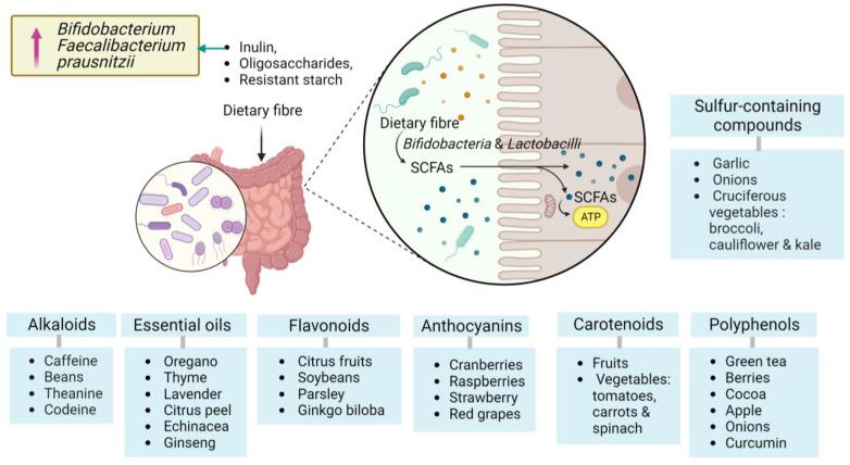 https://cdn.ncbi.nlm.nih.gov/pmc/blobs/50d7/10452544/56d84eeb3529/brainsci-13-01226-g001.jpg