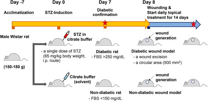 https://cdn.ncbi.nlm.nih.gov/pmc/blobs/50d7/8807477/62d1990b8fdf/fcell-09-802024-g003.jpg