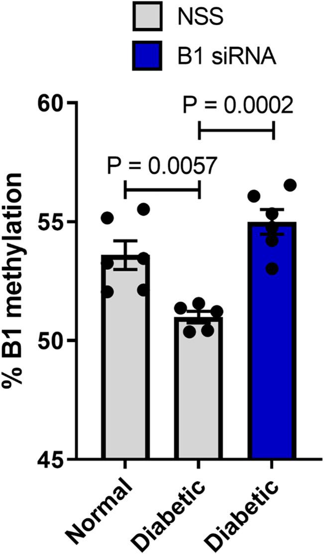https://cdn.ncbi.nlm.nih.gov/pmc/blobs/50d7/8807477/821f6875046b/fcell-09-802024-g004.jpg